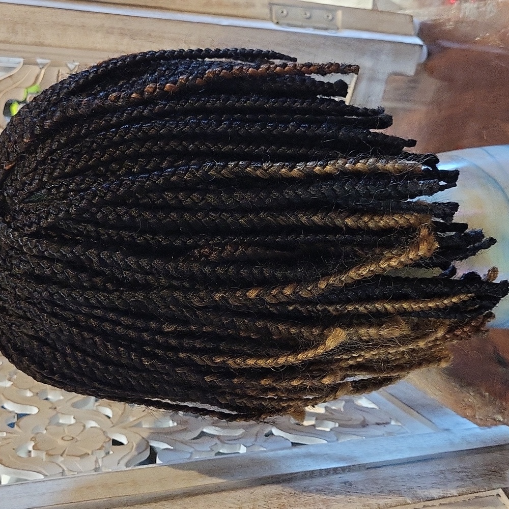Wig, BRAIDED Black With Hints Of Blonde - Picture 6 of 9